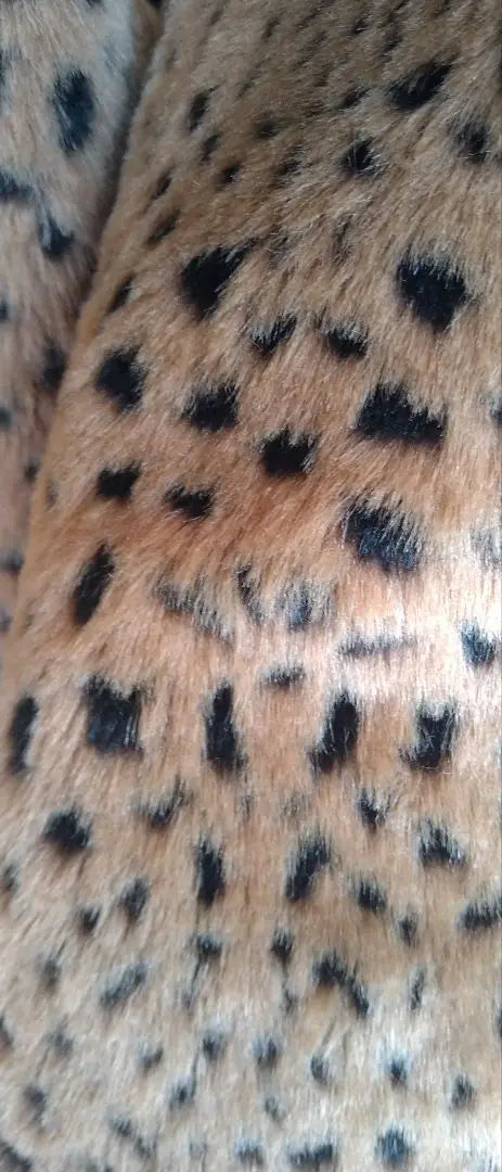 KRIZIA reversible coat (3L) leopard print