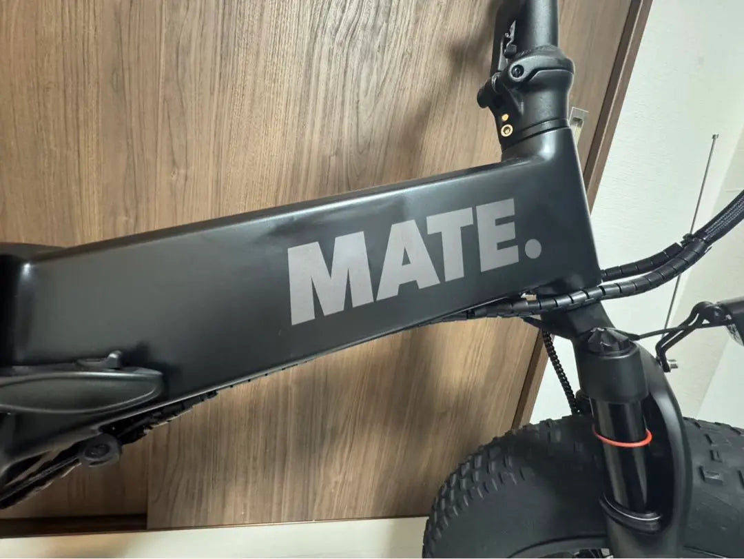 MATE BIKE MATE X250 MATE X EVO New Used Items Limited to 300 Units