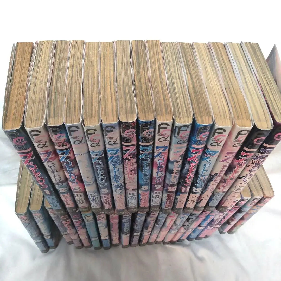 ◆Limited time offer◆7SEEDS Tamura Yumi Volumes 1-35 Complete set, complete with side story