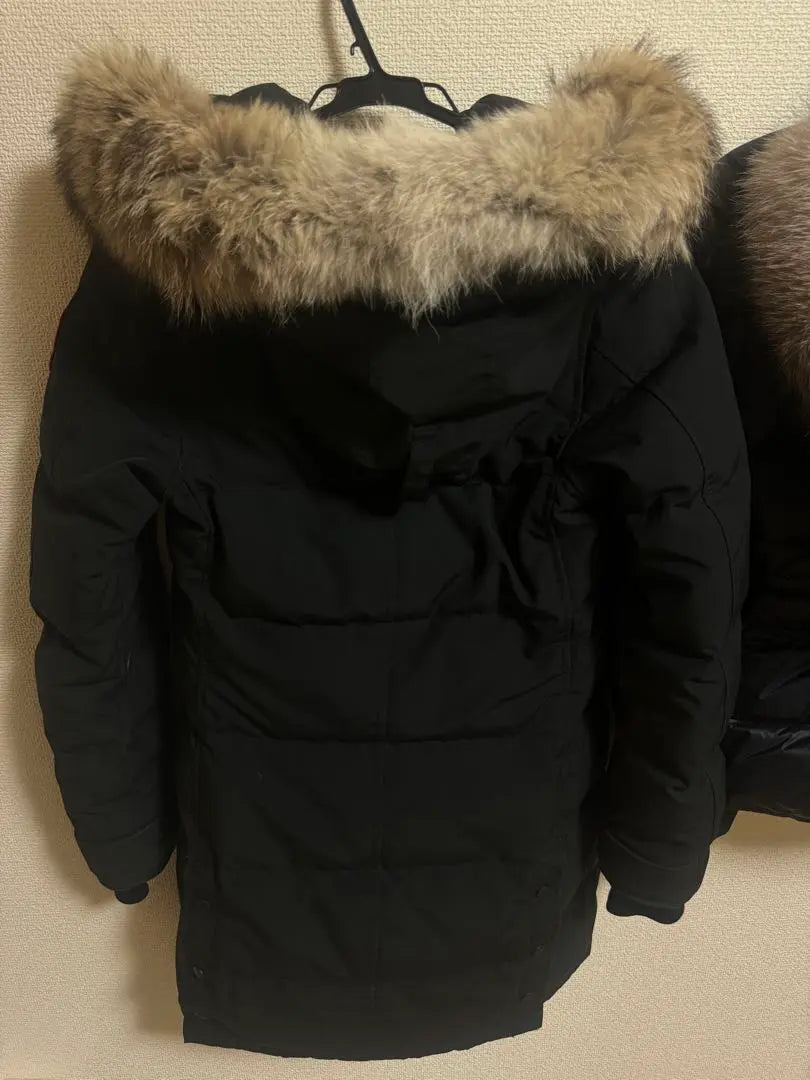 Canada Goose Down