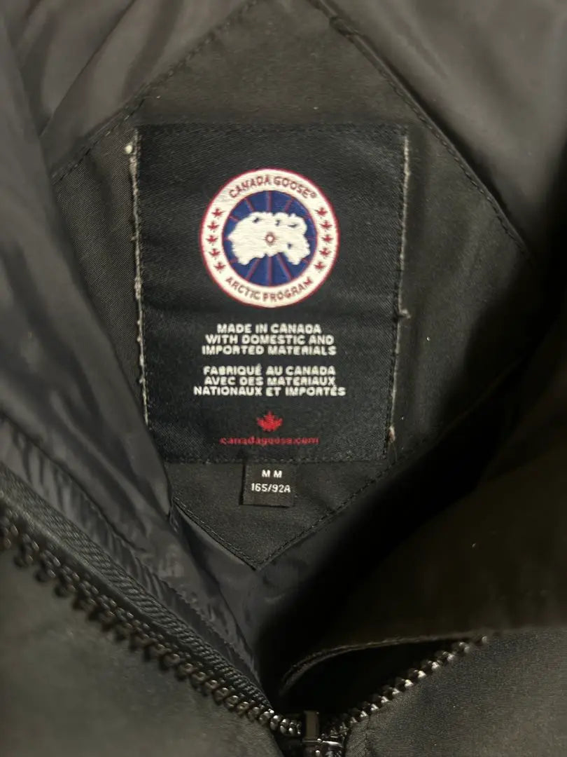 Canada Goose Down