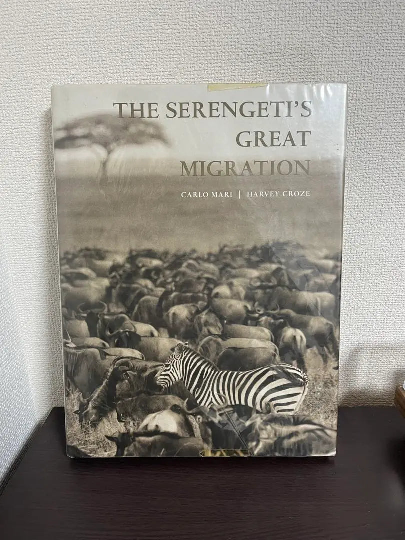 The serengeti's great migration foreign books