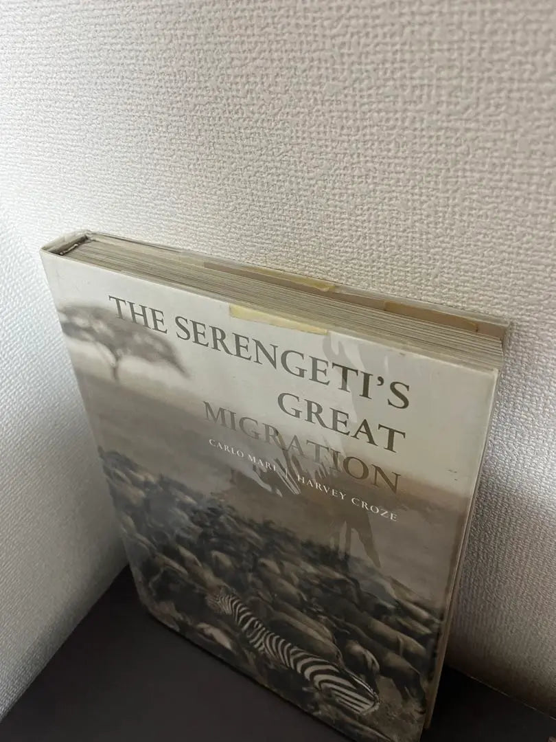 The serengeti's great migration foreign books