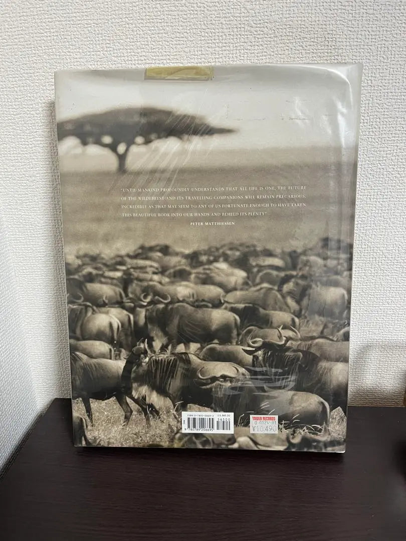 The serengeti's great migration foreign books