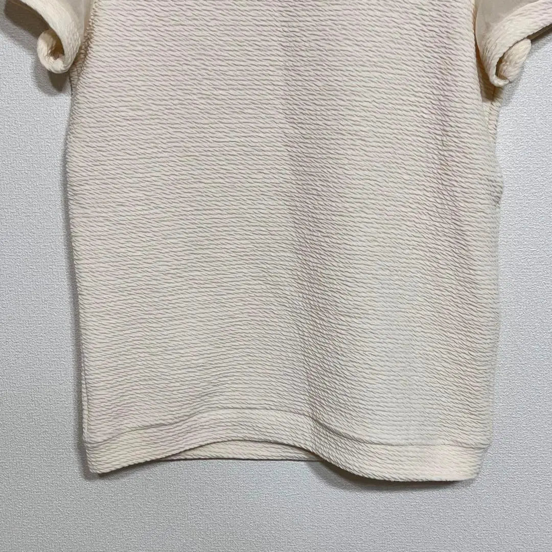 [M]philter Women's Short Sleeves, Flesh Tone, Beige, Simple, Beautiful Condition, Immediate Delivery