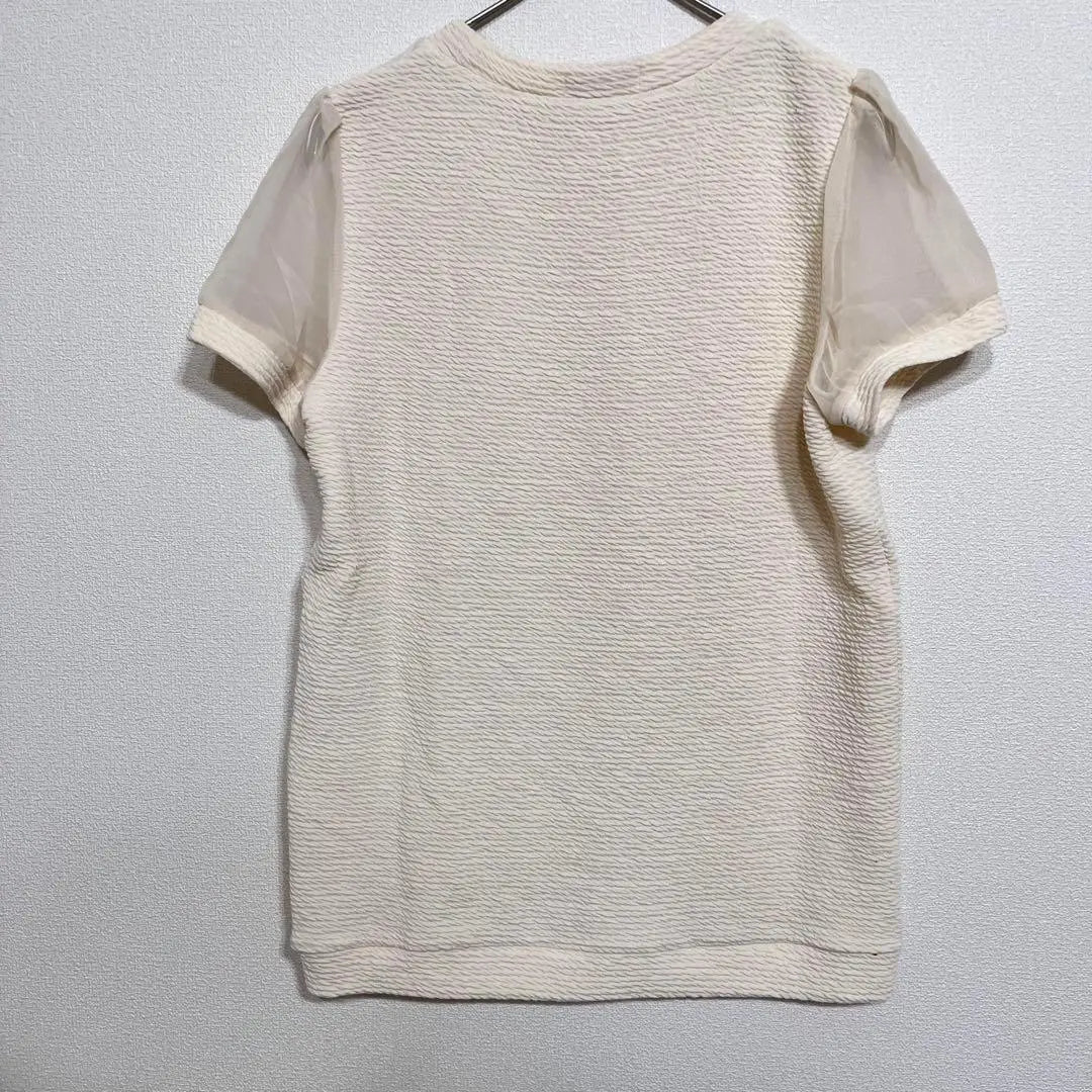 [M]philter Women's Short Sleeves, Flesh Tone, Beige, Simple, Beautiful Condition, Immediate Delivery