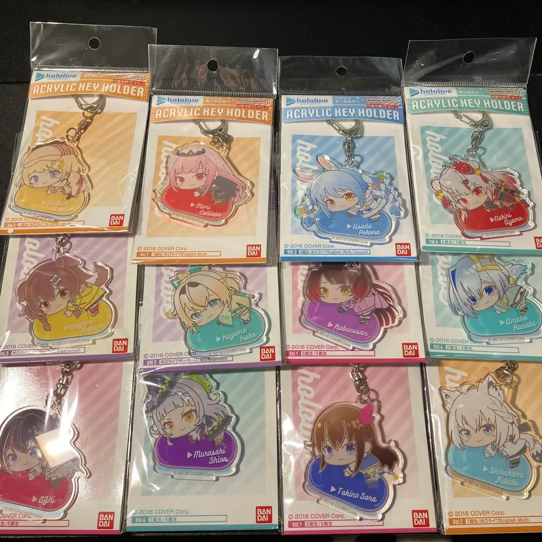 12-piece bulk sale set, acrylic key chain, Hagumitsu Hololive