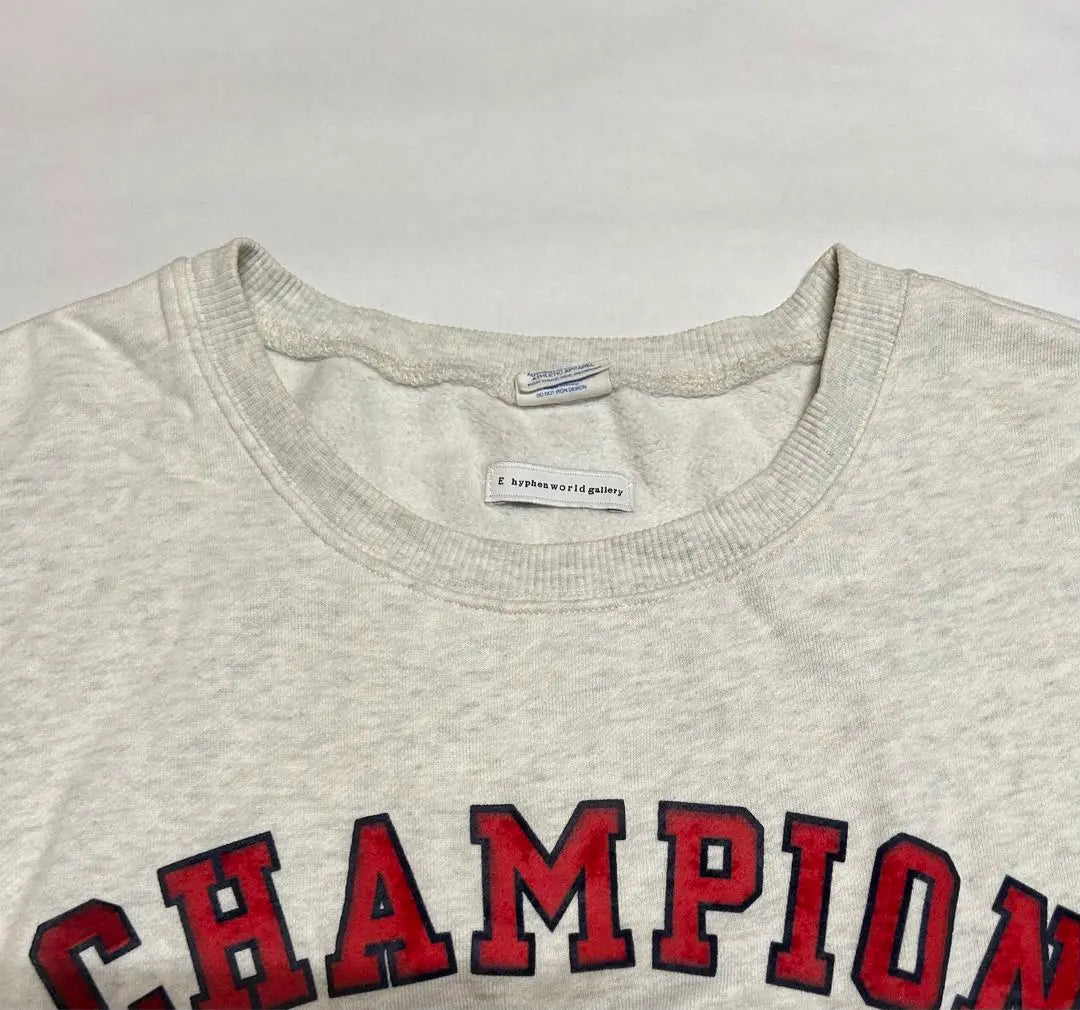 Champion NEW YORK Flocky Print Sweatshirt Ladies