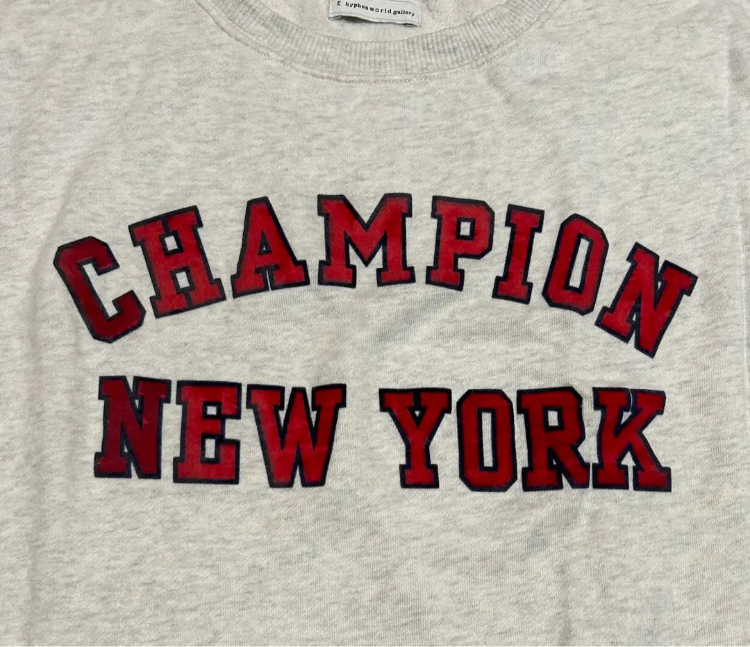 Champion NEW YORK Flocky Print Sweatshirt Ladies