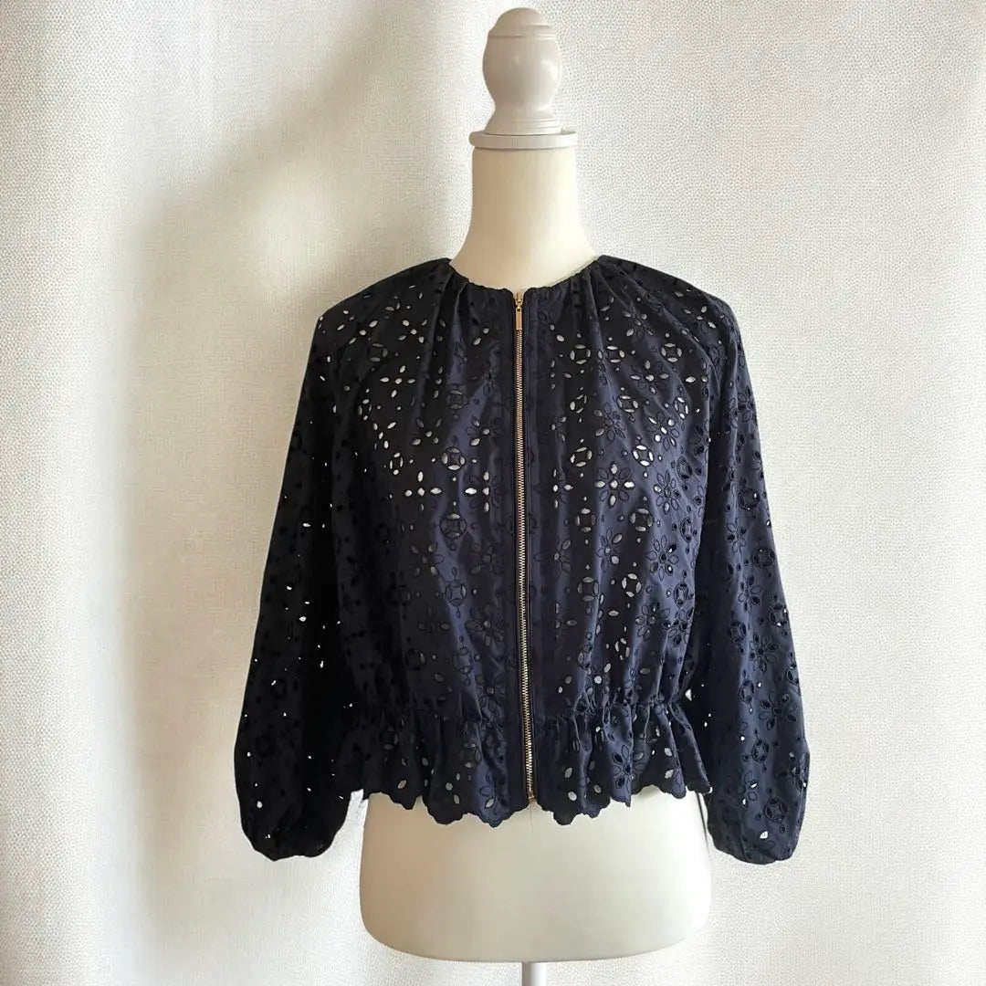 Unused ☆ ANAYI Price 60,000 Embroydary Blouson Jacket Embroidery