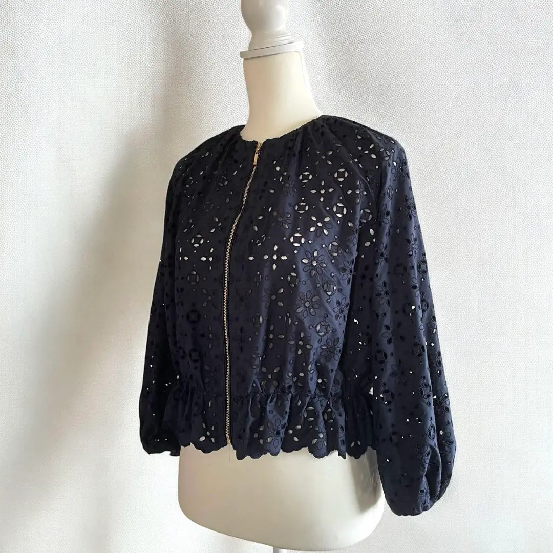 Unused ☆ ANAYI Price 60,000 Embroydary Blouson Jacket Embroidery