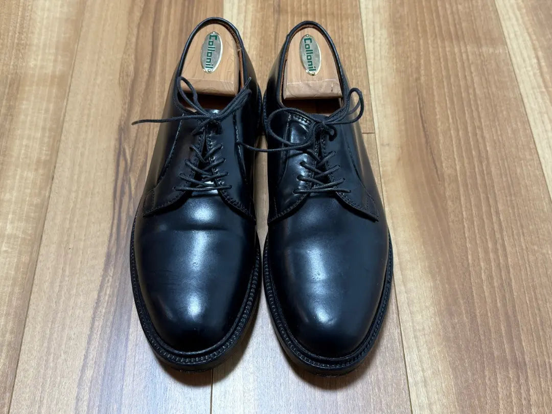 Beautiful goods Alden Plaine Shoes Code Van Arrows Before Note | 美品 オールデン プレーントゥ シューズ コードバン アローズ 別注