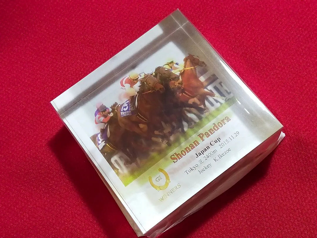 ◆ Horse Racing JRA ◆ Shounanpandora ◆ Japan Cup ◆ Acrylic Object