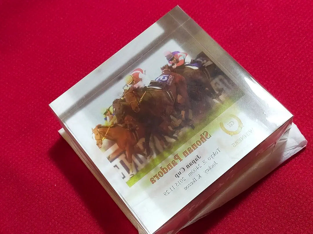 ◆ Horse Racing JRA ◆ Shounanpandora ◆ Japan Cup ◆ Acrylic Object