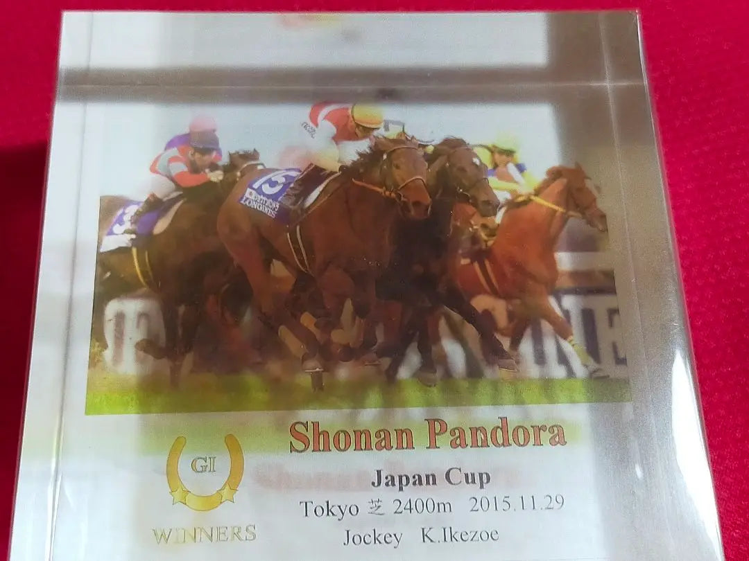 ◆ Horse Racing JRA ◆ Shounanpandora ◆ Japan Cup ◆ Acrylic Object