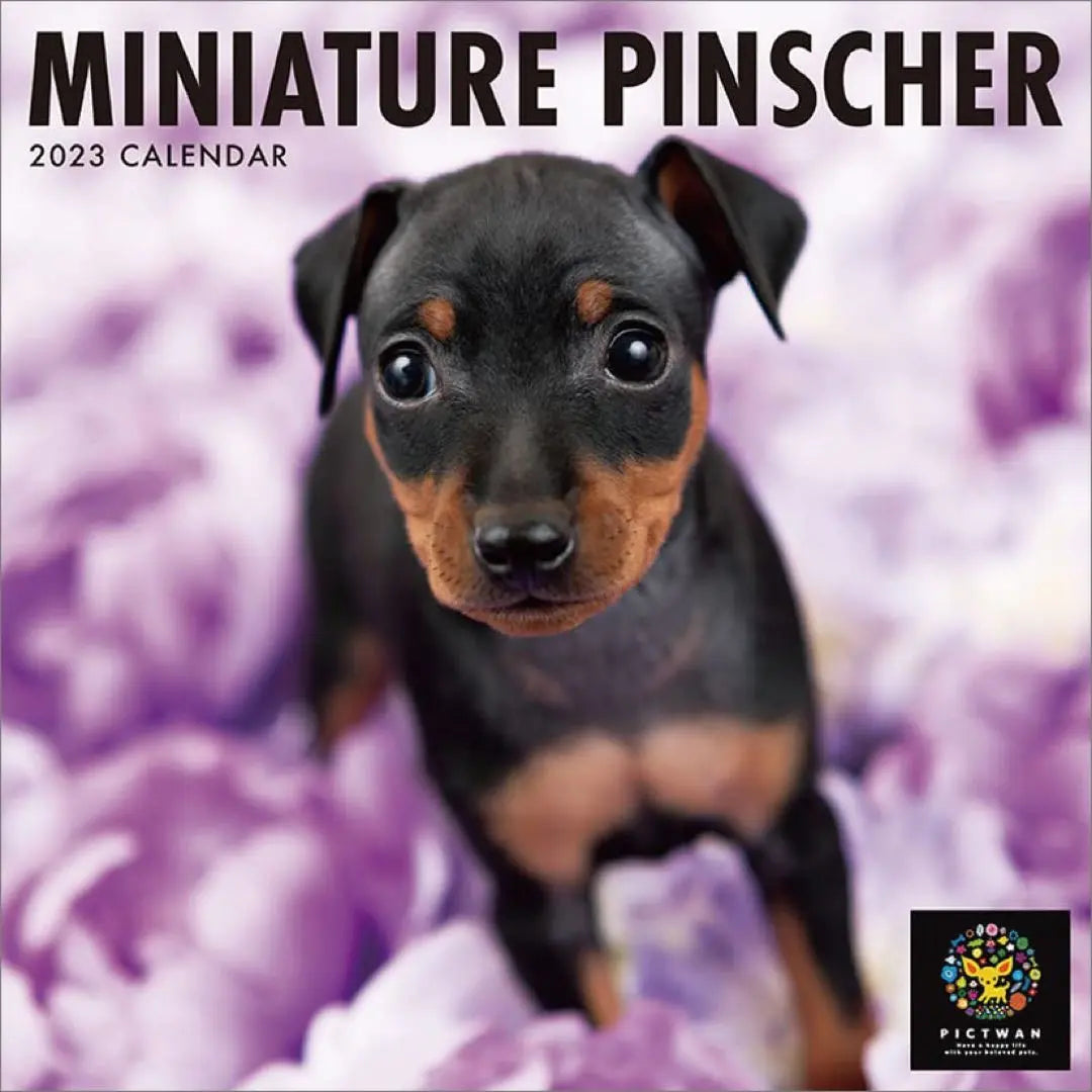 ☆ Club Clínica Interzoo Pinscher Miniatura 2023