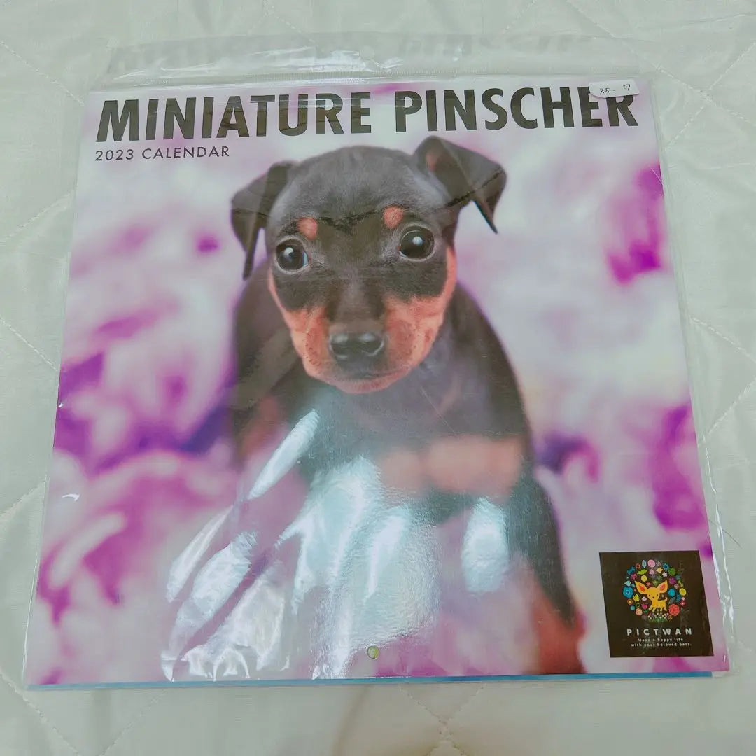 ☆ Club Clínica Interzoo Pinscher Miniatura 2023