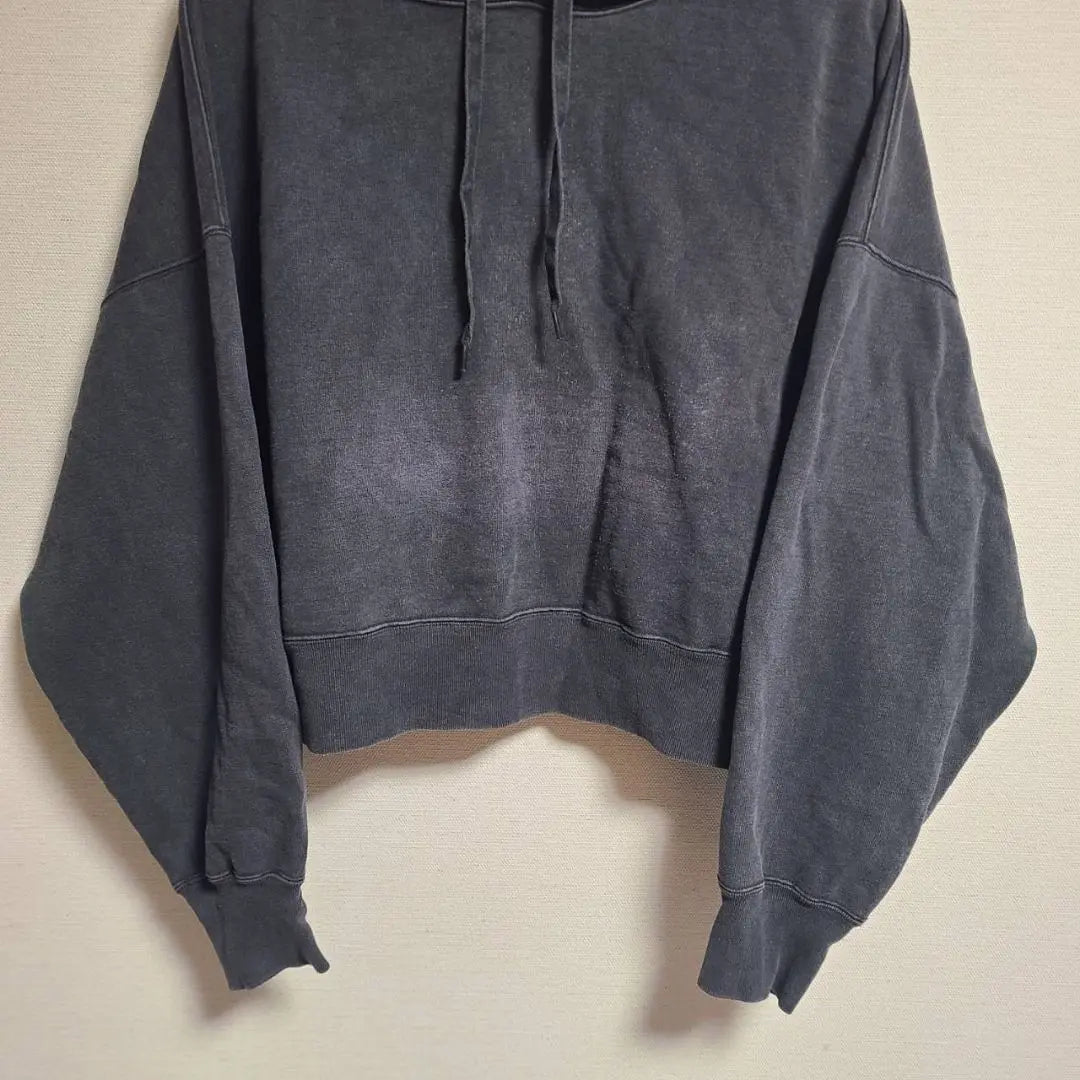 Remi Relief Sweatshirt Hoodie Hoodie Pullover Short Length F