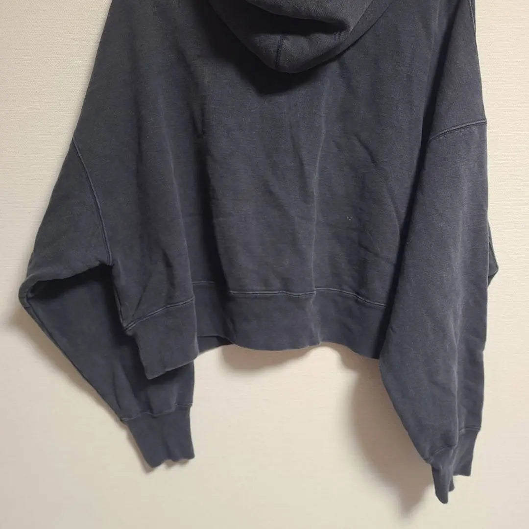 Remi Relief Sweatshirt Hoodie Hoodie Pullover Short Length F