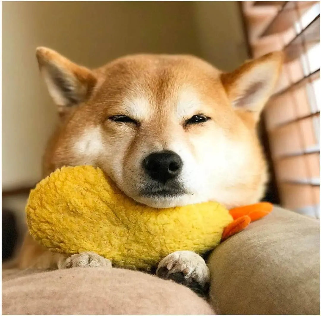 I dog and cat shrimp tempura plush toy pet toy shrimp fry pet | i犬猫エビ 天ぷらぬいぐるみペットおもちゃエビフライペットトイドッ