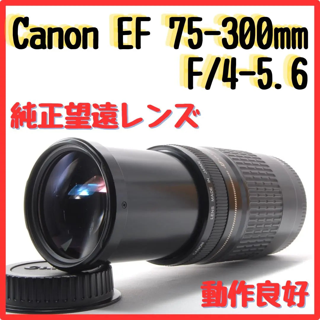 Canon EF 75-300mm F/4-5.6 Genuine telephoto lens