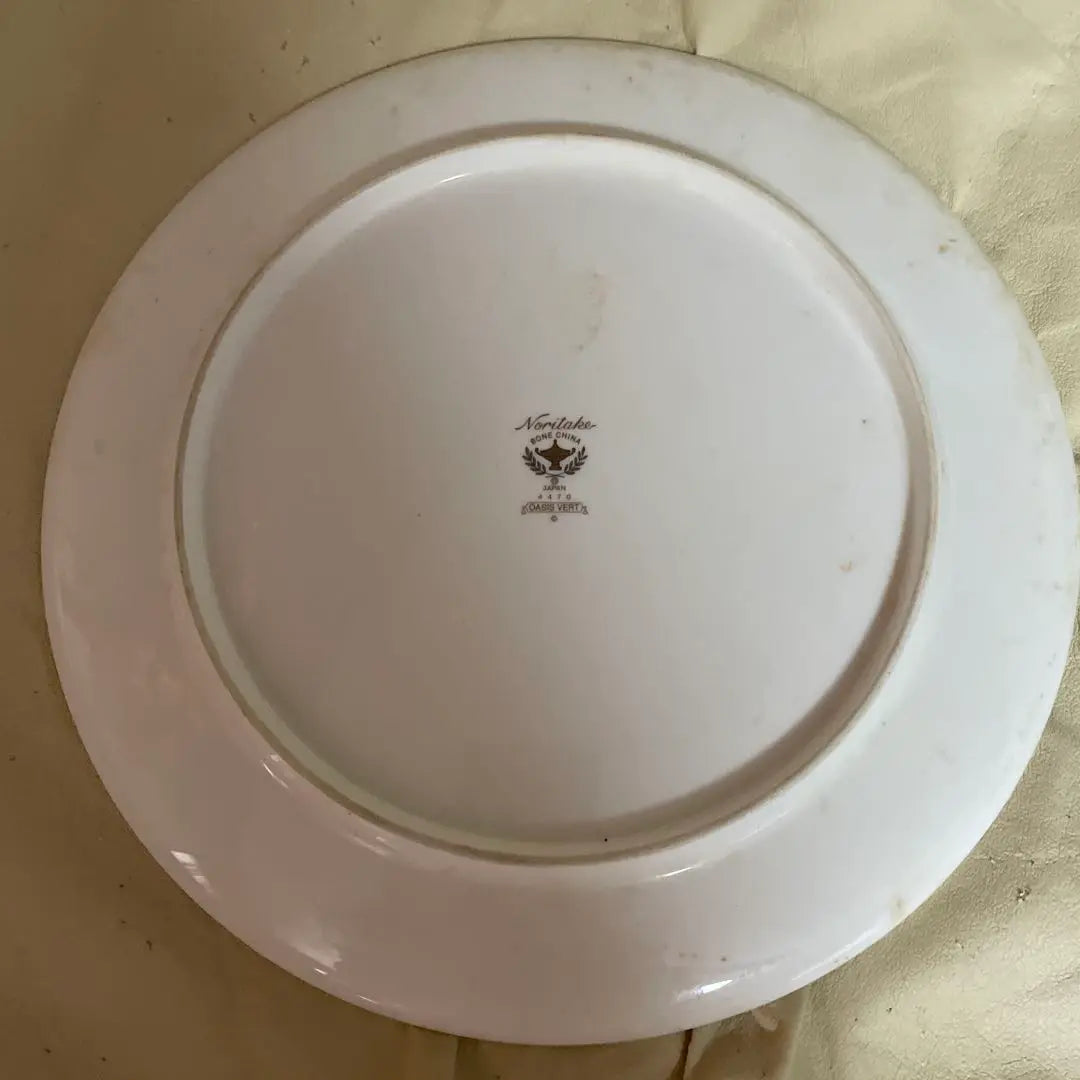 Noritake large plate Oasis Veil