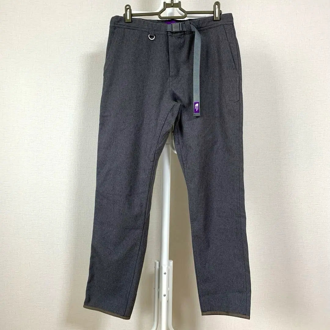 ♪ The North Face PURPLE LABEL Pants NT5557N