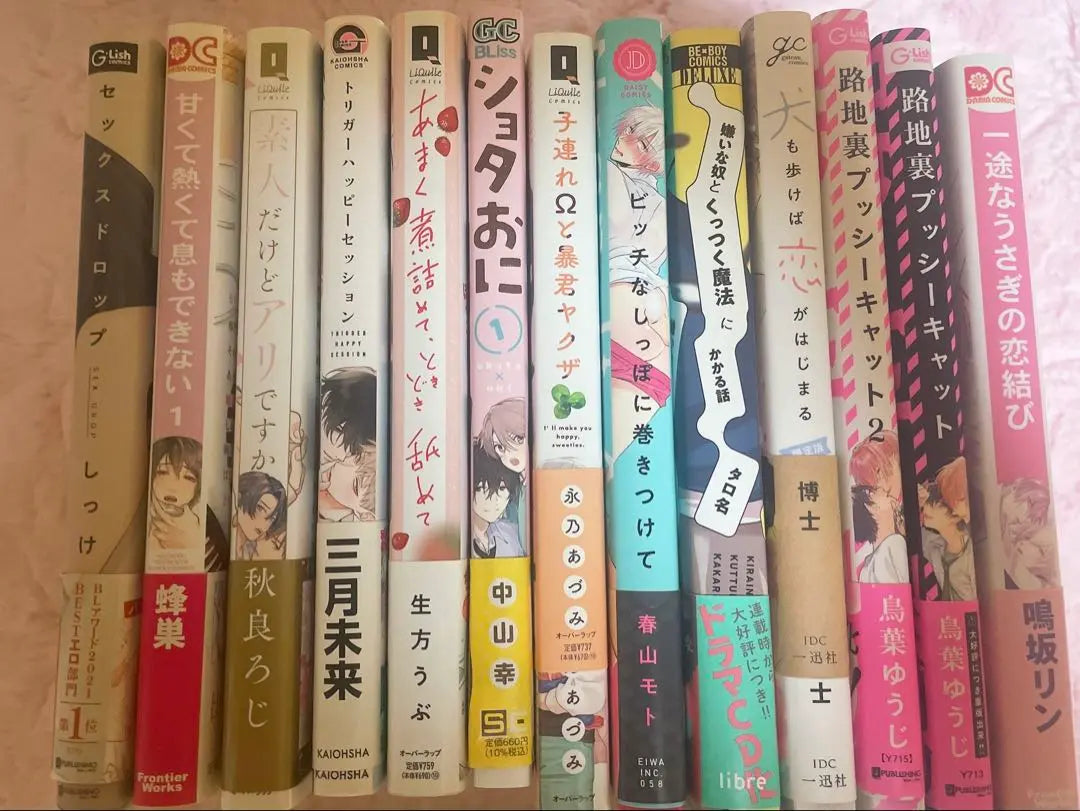 Venta al por mayor de 13 libros de manga BL