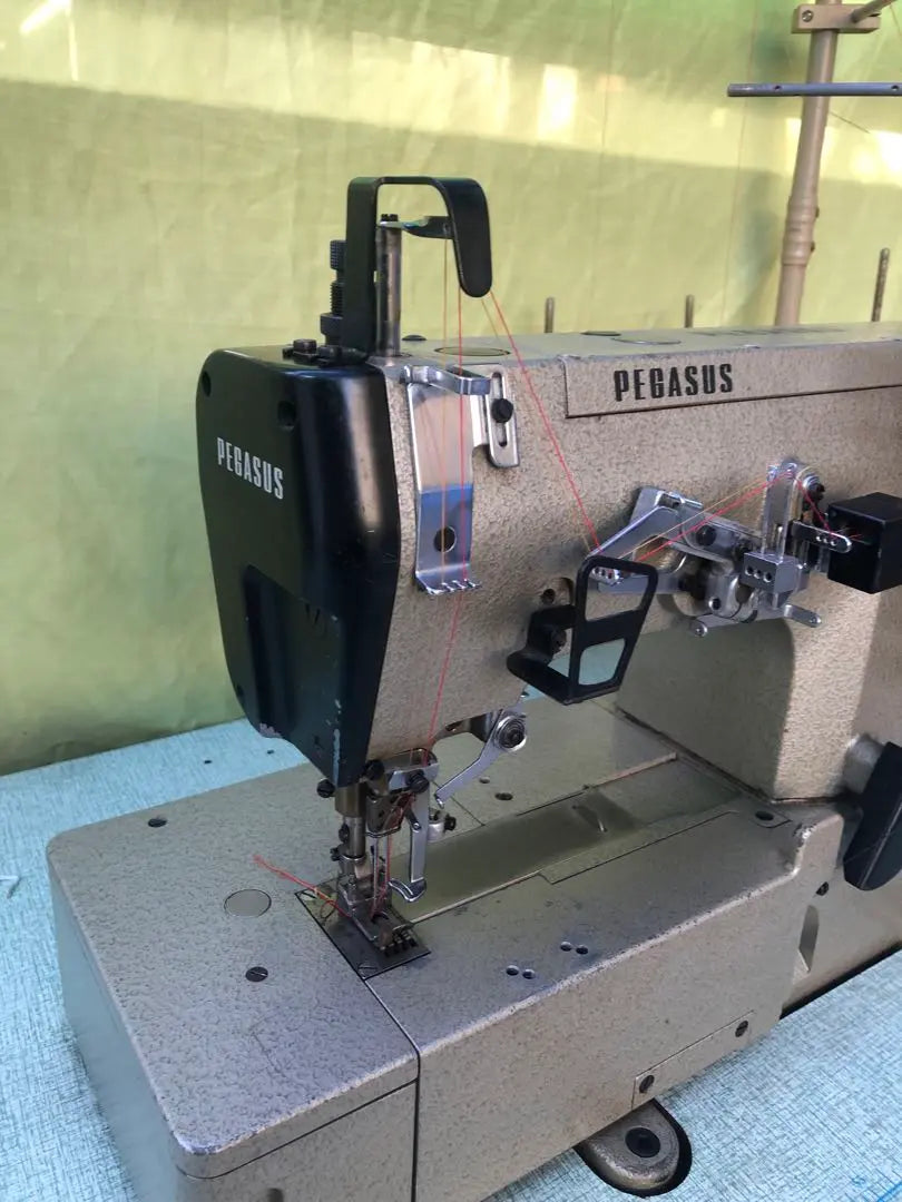 Máquina de coser con puntada entrelazada de cabezal plano Pegasus W562-01CB usada