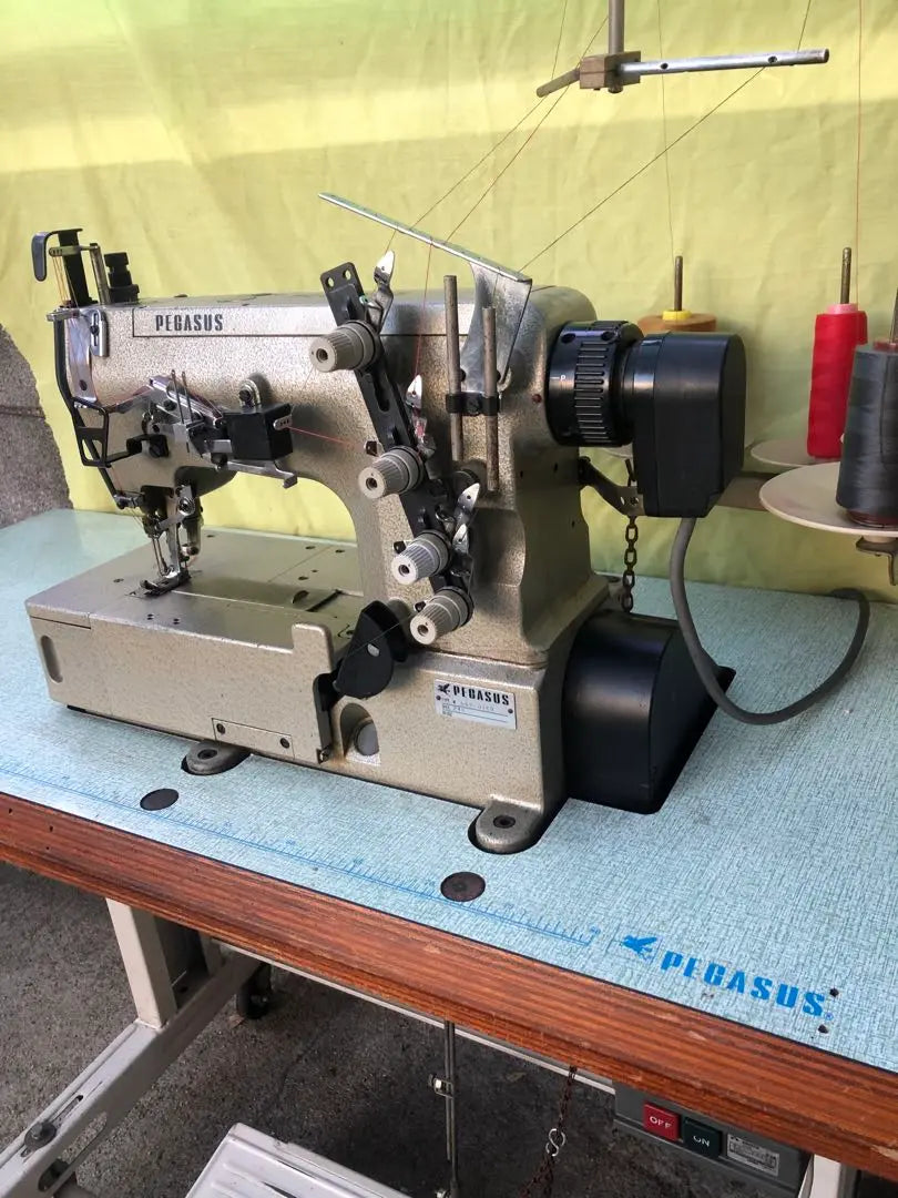 Pegasus W562-01CB flat head interlock stitch sewing machine used