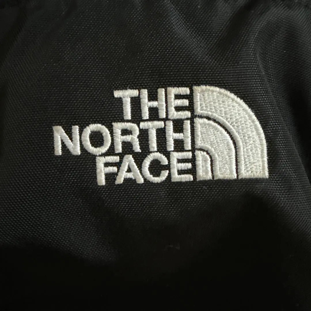 THE NORTHFACE The North Face Waist Bag Orion