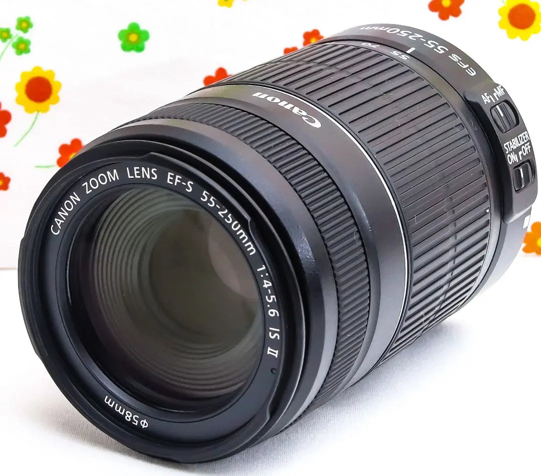 Canon EF-S 55-250mm IS IS II ☆ Global correction ☆ Telephone lens | Canon EF-S 55-250mm IS Ⅱ☆手振れ補正☆望遠レンズ