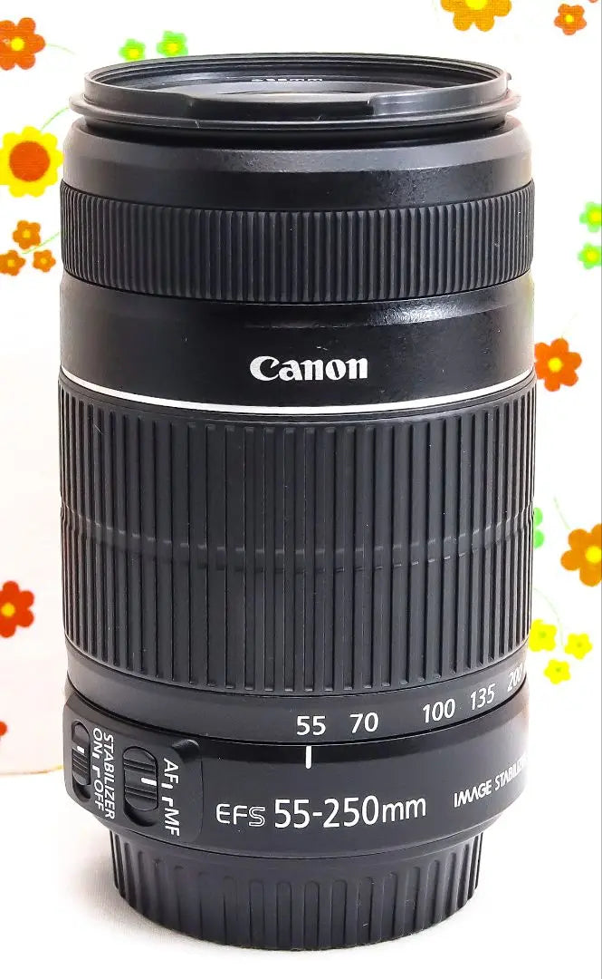 Canon EF-S 55-250mm IS IS II ☆ Global correction ☆ Telephone lens | Canon EF-S 55-250mm IS Ⅱ☆手振れ補正☆望遠レンズ