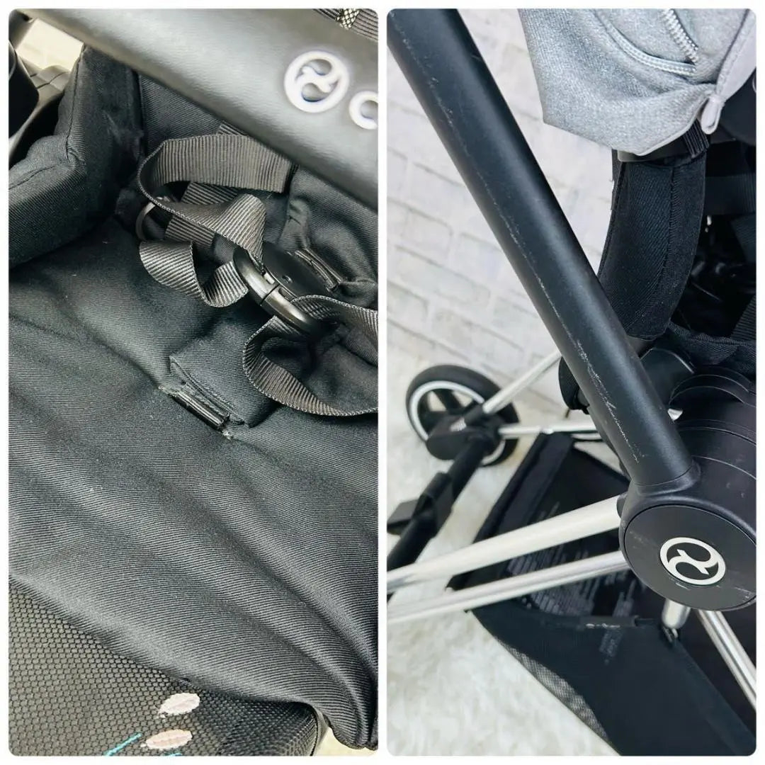 Stroller CYBEX Fashion Edition Series Carp