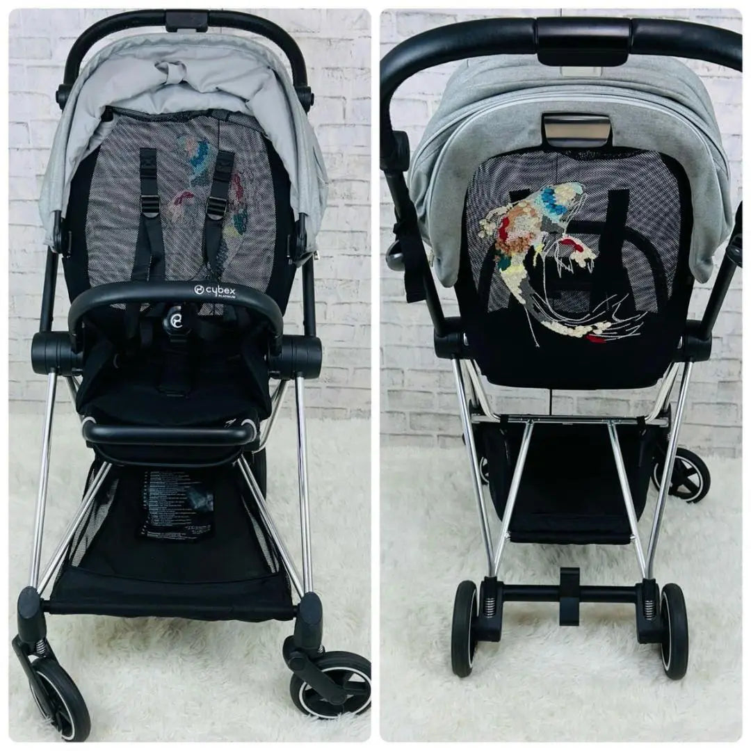 Stroller CYBEX Fashion Edition Series Carp