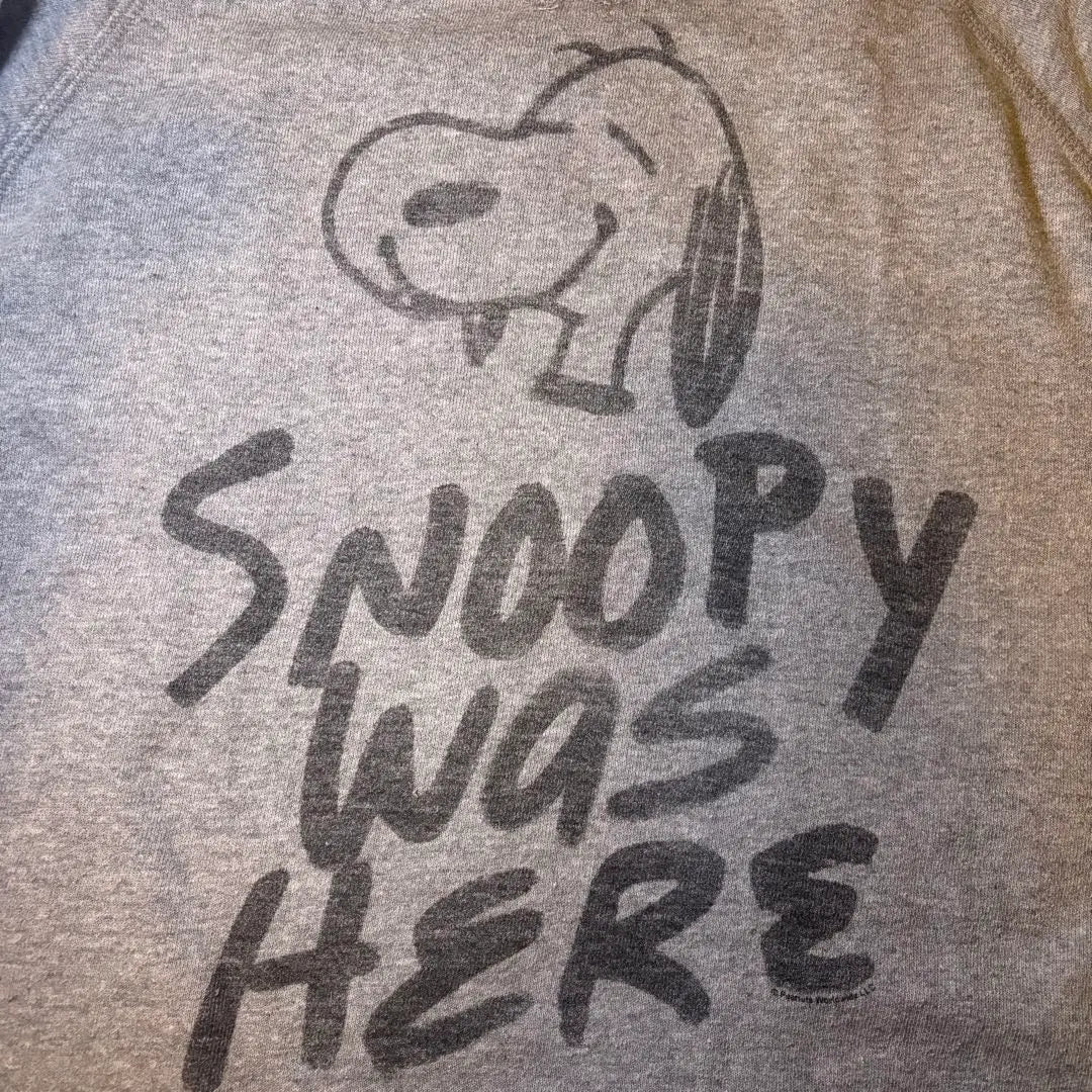 Made in America Junk Food Snoopy Sweatshirt Gray S Sweatshirt