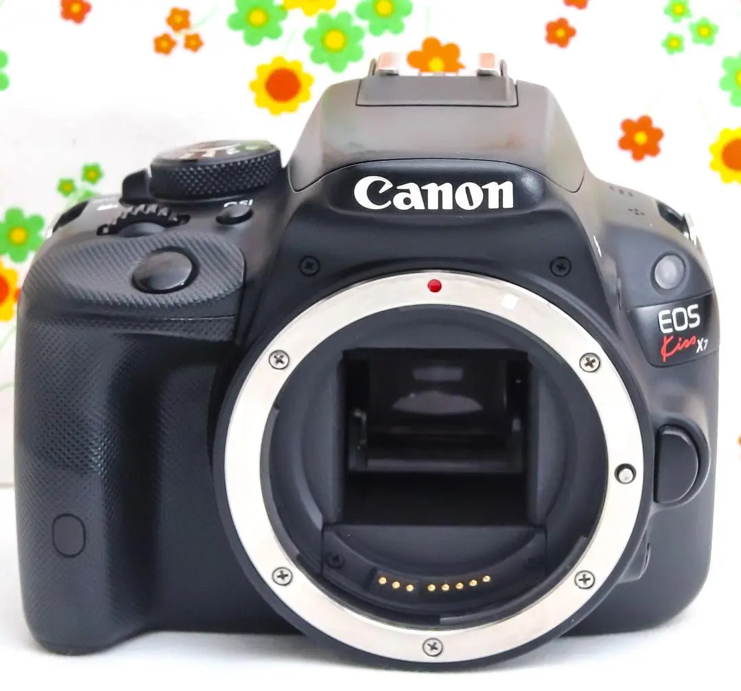 Canon EOS Kiss X7 ☆ Transferencia de teléfono inteligente ☆ Ultrapequeño ☆ SLR | Canon EOS Kiss X7☆スマホ転送☆超小型☆間違いない一眼レフ