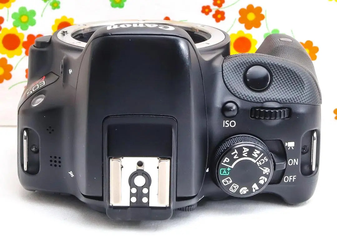 Canon EOS Kiss X7 ☆ Transferencia de teléfono inteligente ☆ Ultrapequeño ☆ SLR | Canon EOS Kiss X7☆スマホ転送☆超小型☆間違いない一眼レフ