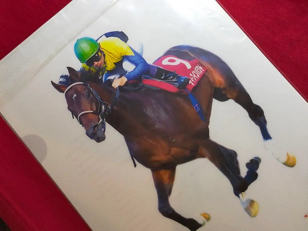 ①◆ Horse Racing JRA◆ Deep Impact◆ Clear File◆ 3-disc set◆