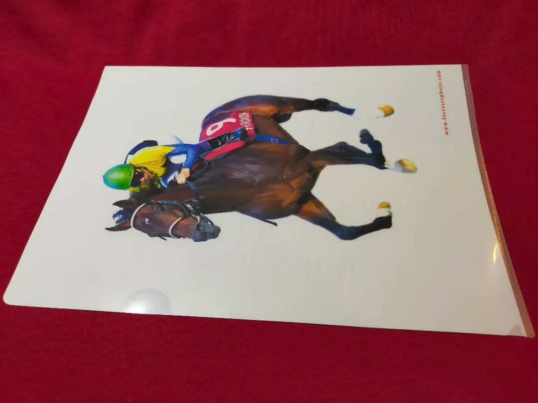 ①◆ Horse Racing JRA◆ Deep Impact◆ Clear File◆ 3-disc set◆