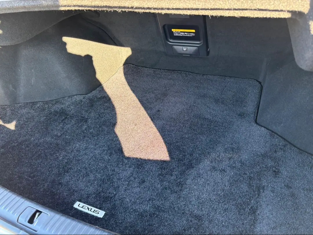 Lexus is genuine trunk mat black