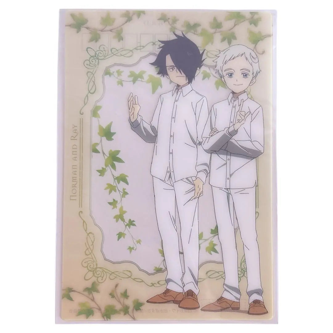 ⭐️The Promised Neverland Clear Postcard Ray Norman Emma