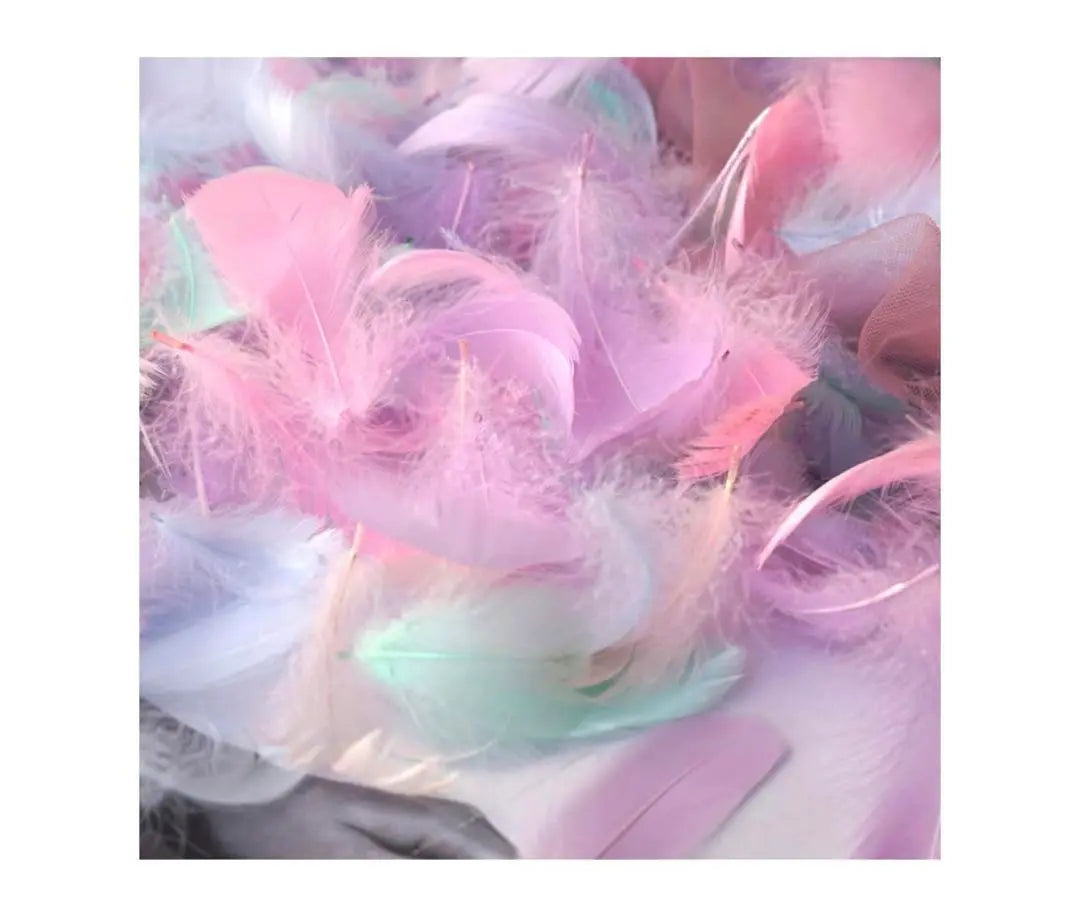 Feather Decoration Feather Shower Dyed Feather Set of 200 Handicraft DIY Wedding Event