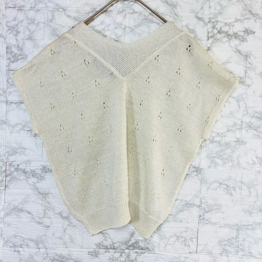 Tomomi ◆ Made in Japan Poncho-style knit top/short sleeve linen blend simple glitter