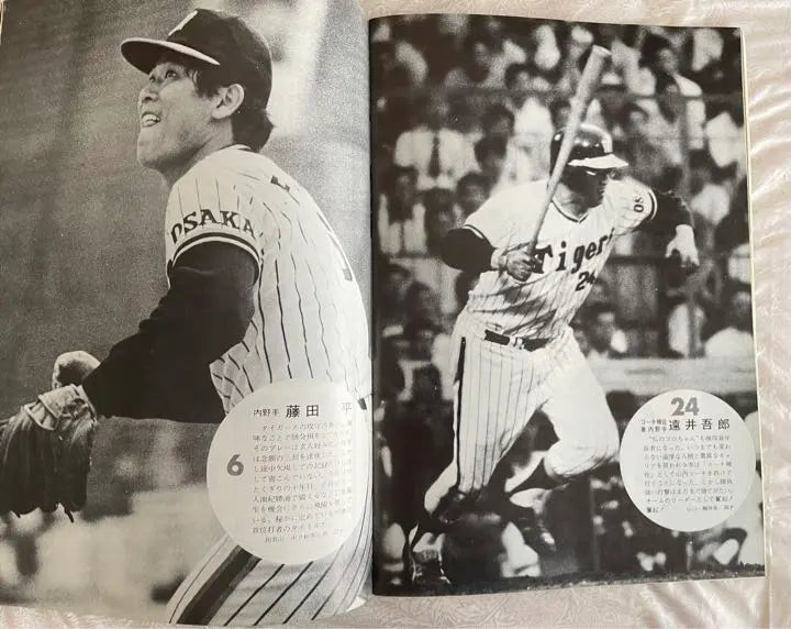 Libro de fans de los Tigres de Hanshin de 1975‼️