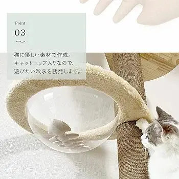 Final price cut! Cat toy Catnip Bone Simple Cat Health Cute Cute | 最終値下げ!猫のおもちゃキャットニップ入り骨シンプル愛猫健康可愛い