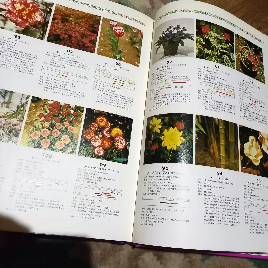 Kodansha New Home Encyclopedia 6 out of 12 volumes - Practical Encyclopedia