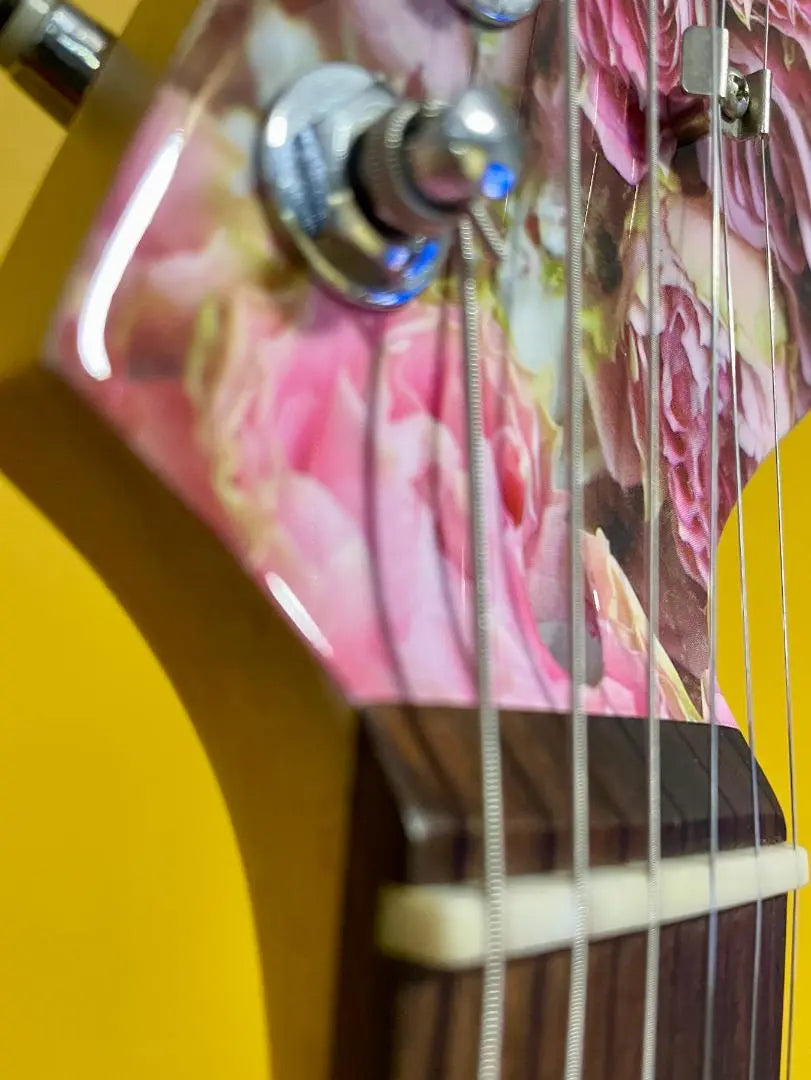 [✨Super Rare✨] Única‼ Guitarra Strato Rose Flower♥