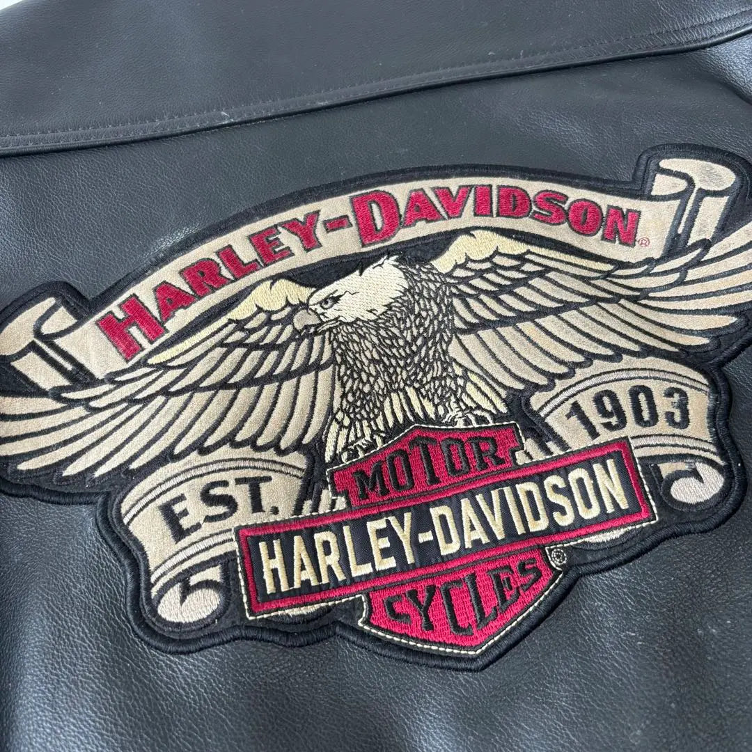 [Super Rare/Embroidered Logo] Harley Davidson Riders Motorcycle Wear L Genuine Leather Black