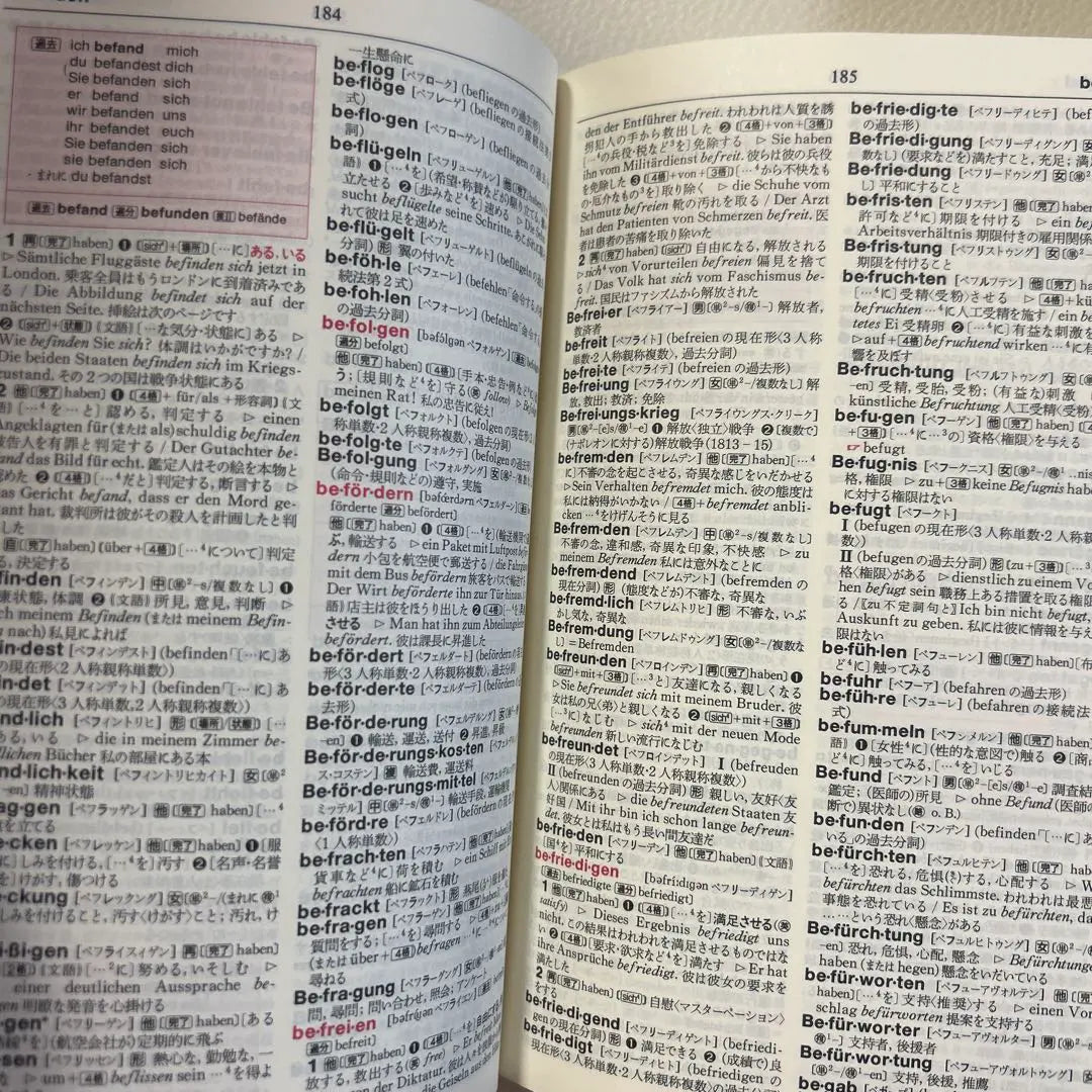 Access German-Japanese Dictionary